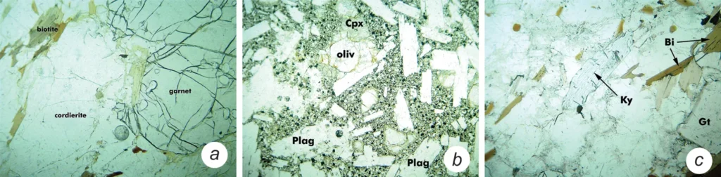 5 Optical Mineralogy Mineral habits seen in thin section (PP light)