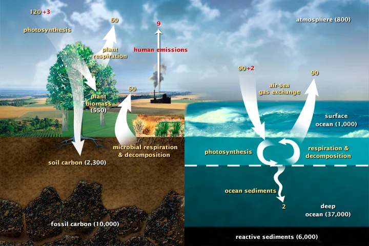 Short-term and long-term carbon cycles as they currently exist in the Earth System today.