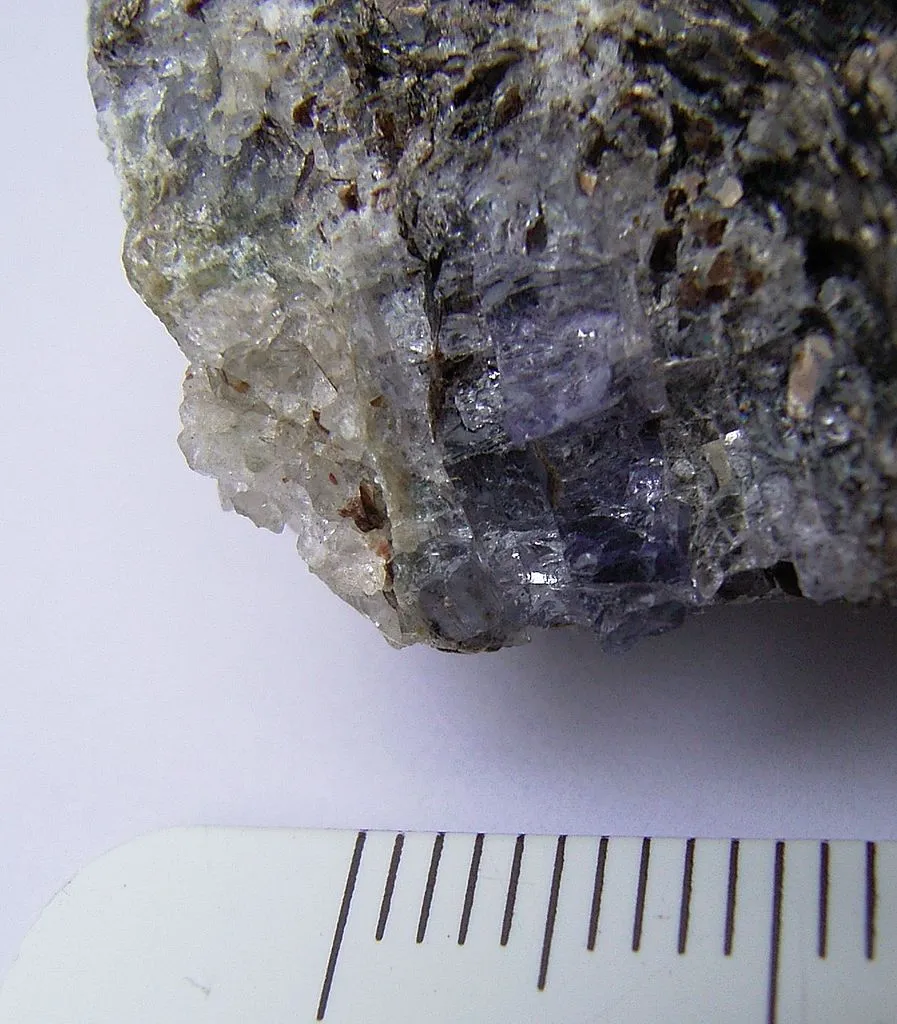 8 Metamorphic Minerals and Metamorphic Rocks Blue cordierite with quartz, from Brazil. Centimeter ruler for scale.