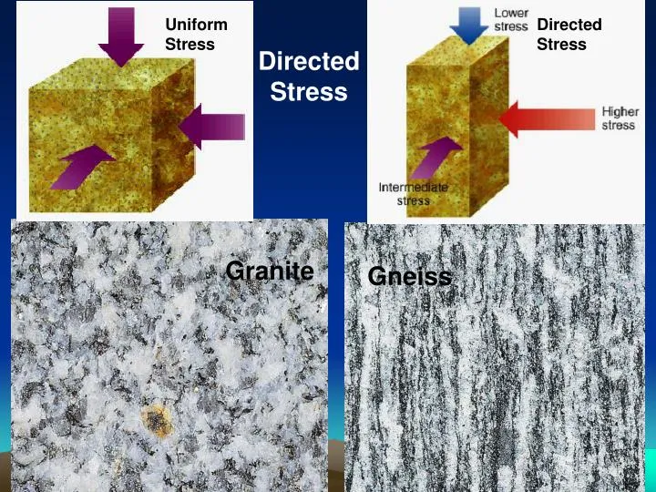 8 Metamorphic Minerals and Metamorphic Rocks Gneiss may be created when directed stress is applied to a granite