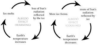 The ice albedo effect can be a reinforcing feedback for both periods of warming and cooling in the Earth's climate