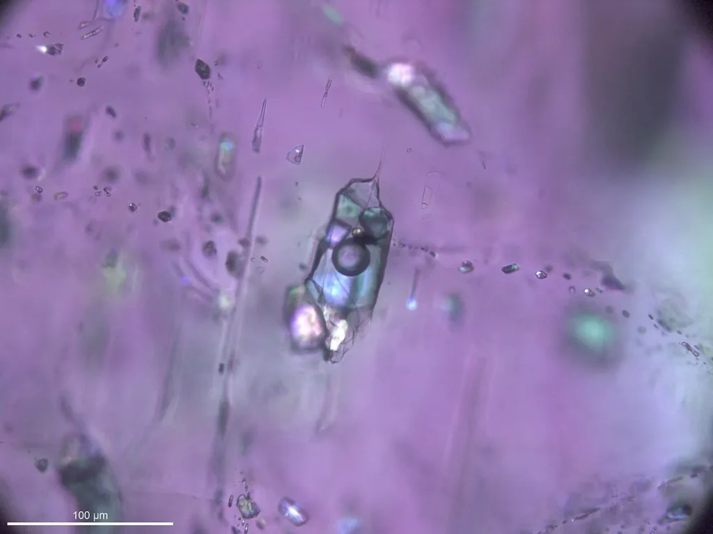 8 Metamorphic Minerals and Metamorphic Rocks Fluid inclusions in a crystal of zoisite