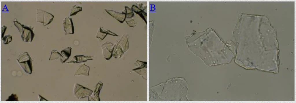 5 Optical Mineralogy (A) Garnet showing high relief, and (B) halite showing low relief (PP light)