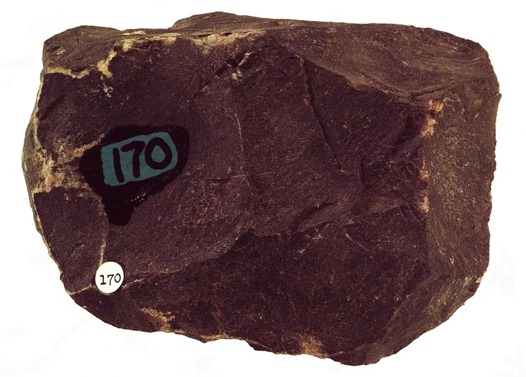 8 Metamorphic Minerals and Metamorphic Rocks Biotite hornfels, about 7 cm across, from Riverside County, California