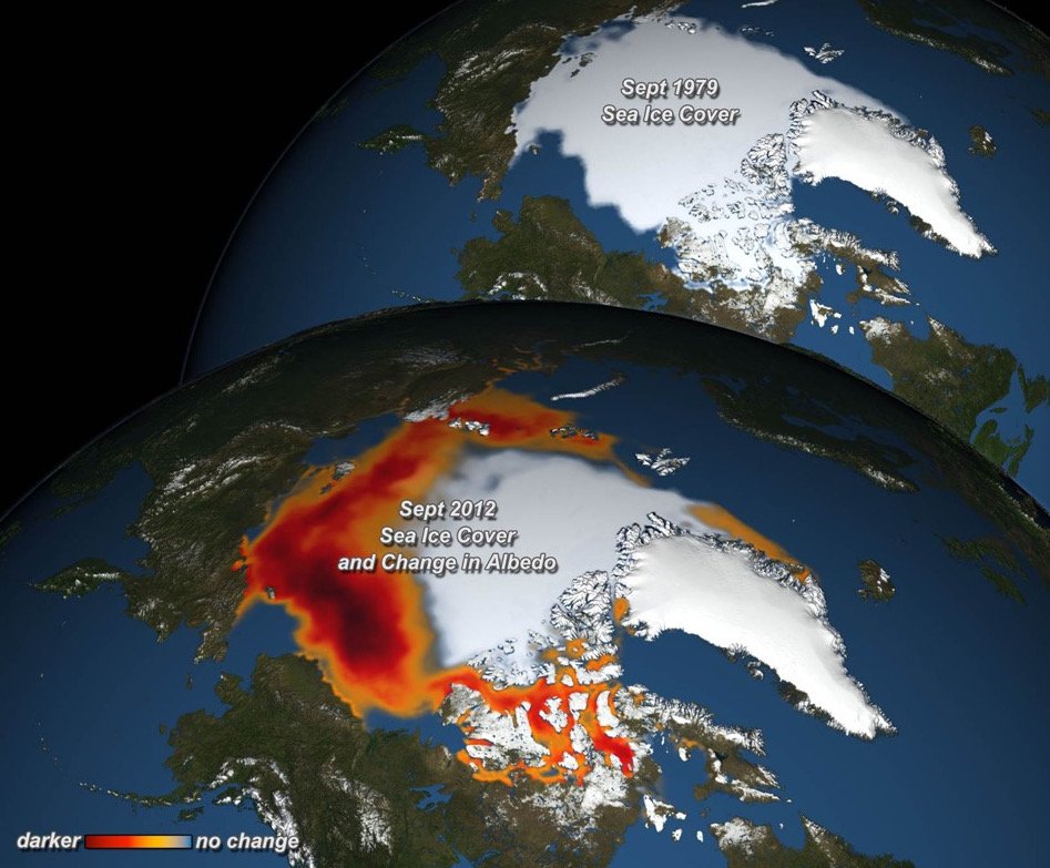 Decreasing sea ice and its effect on albedo in the Arctic