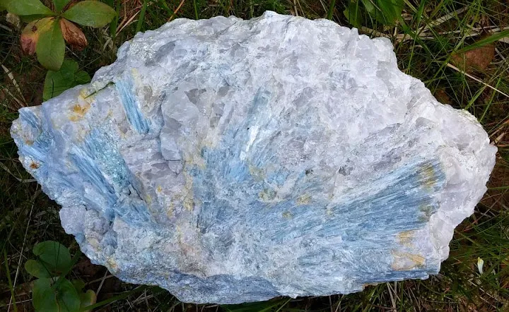 8 Metamorphic Minerals and Metamorphic Rocks Kyanite quartzite from Kapteeninautio, Finland. Sample is 28 cm across.