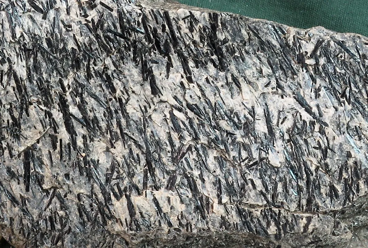 8 Metamorphic Minerals and Metamorphic Rocks Aligned crystals of black hornblende give this rock lineation. The crystals are up to 2 cm long.