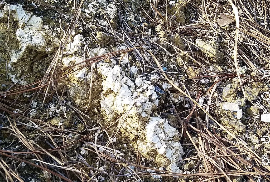 8 Metamorphic Minerals and Metamorphic Rocks Magnesite forming from ultramafic rock near Turin, Italy