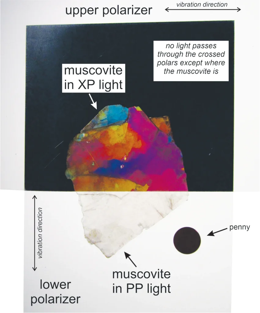 5 Optical Mineralogy Two perpendicular polarizing filters sandwiching a large flake of muscovite