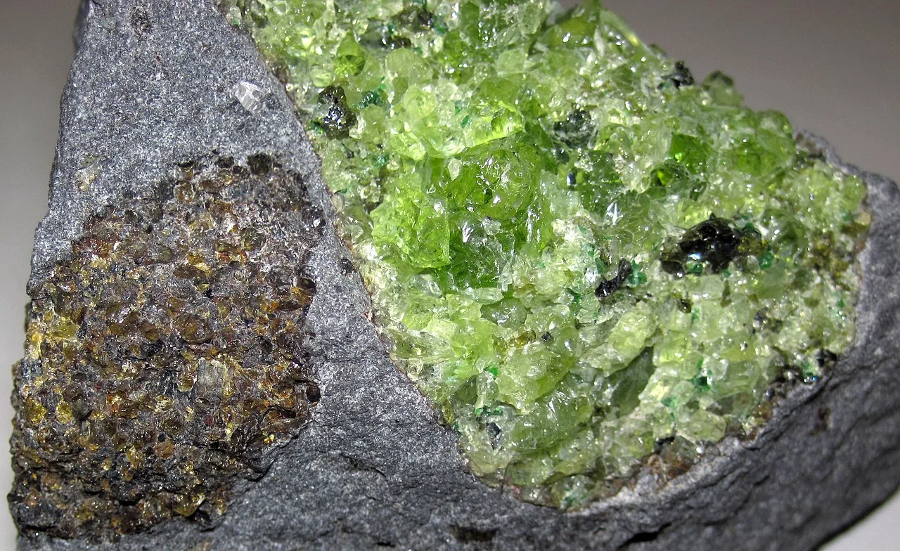 6 Igneous Rocks and Silicate Minerals Xenoliths in basalt from San Carlos, Arizona. The brown xenolith contains olive-green olivine and brown orthopyroxene. The green xenolith contains light green olivine, (minor) emerald-green clinopyroxene, and darker orthopyroxene.