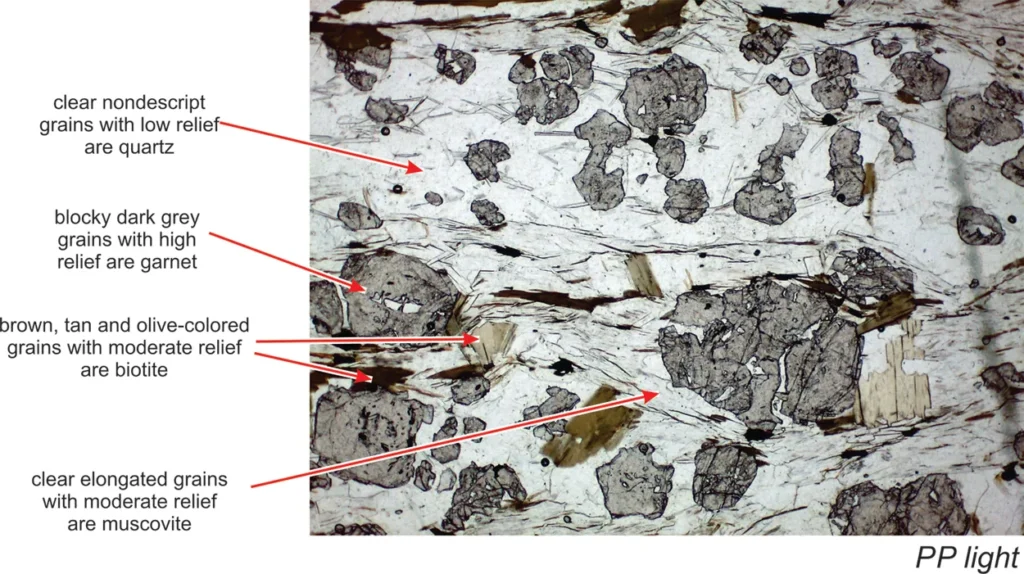 5 Optical Mineralogy Minerals with high, medium, and low relief in thin section. The field of view is about 2.5 mm across.