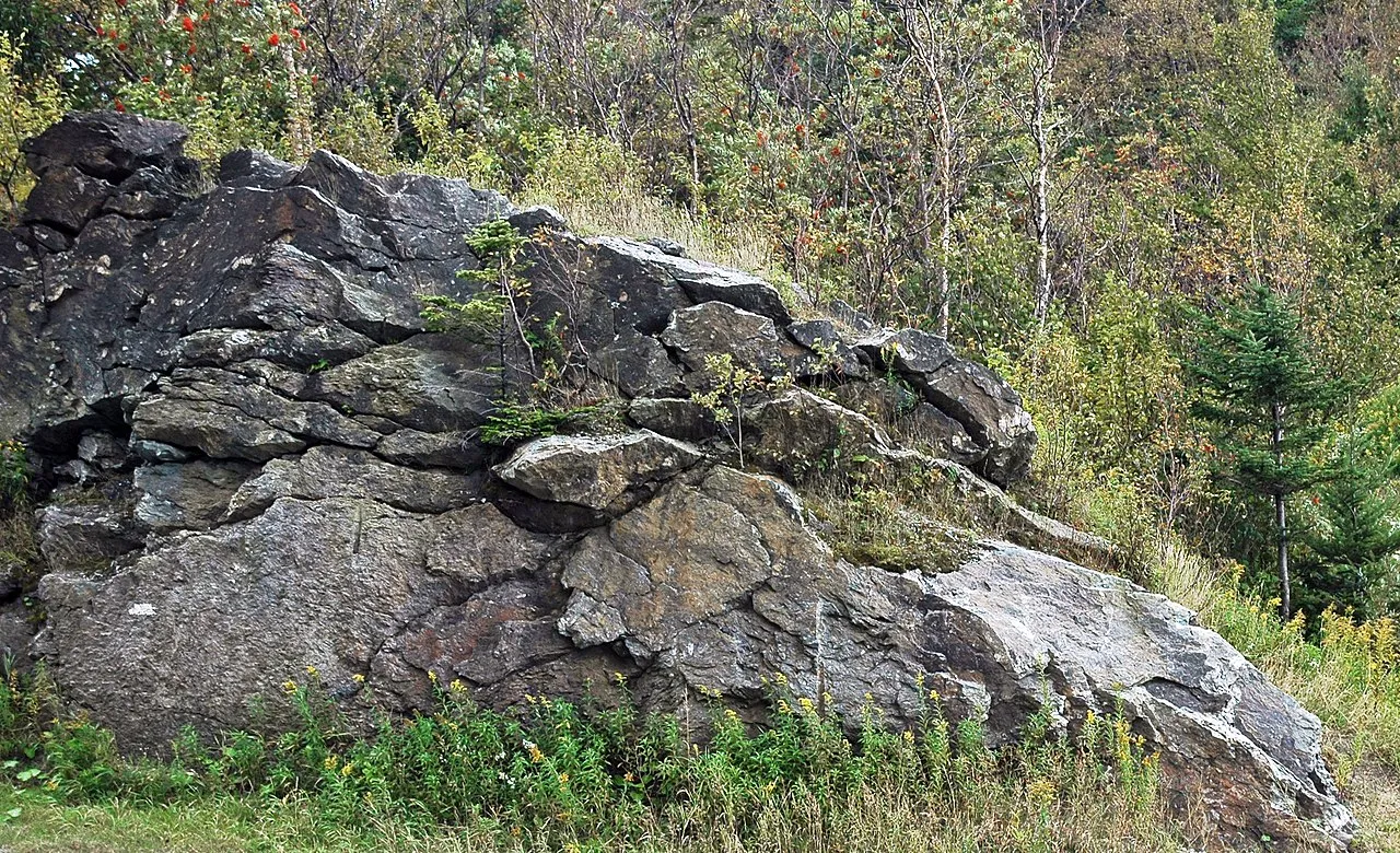 8 Metamorphic Minerals and Metamorphic Rocks Outcrop of schist, Green Mountains, Vermont