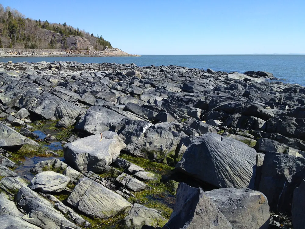 8 Metamorphic Minerals and Metamorphic Rocks Shatter cones caused by a meterorite impact. Cap-aix-Oies, Quebec