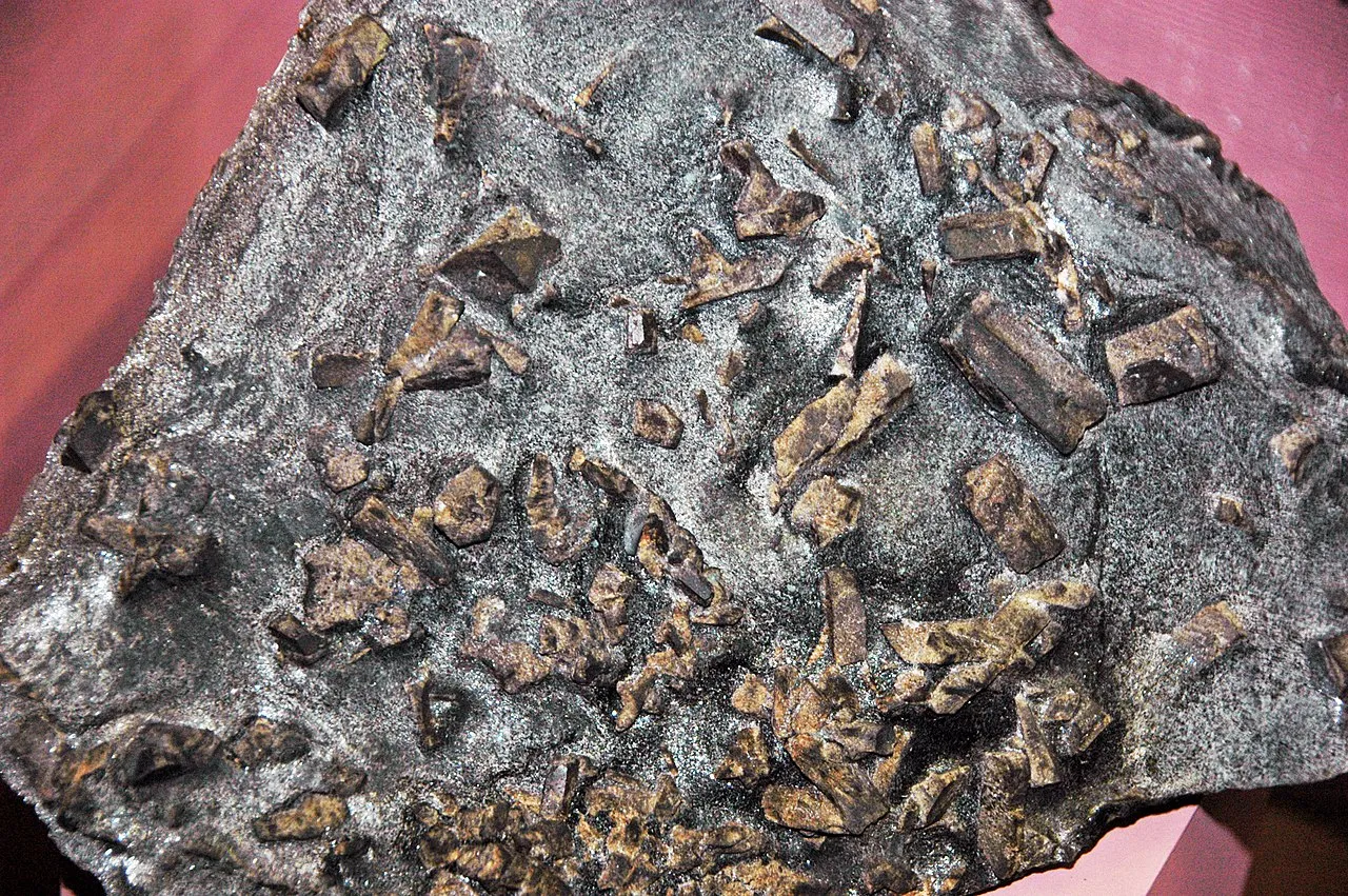 8 Metamorphic Minerals and Metamorphic Rocks A staurolite-muscovite schist from Michigamme, Michigan