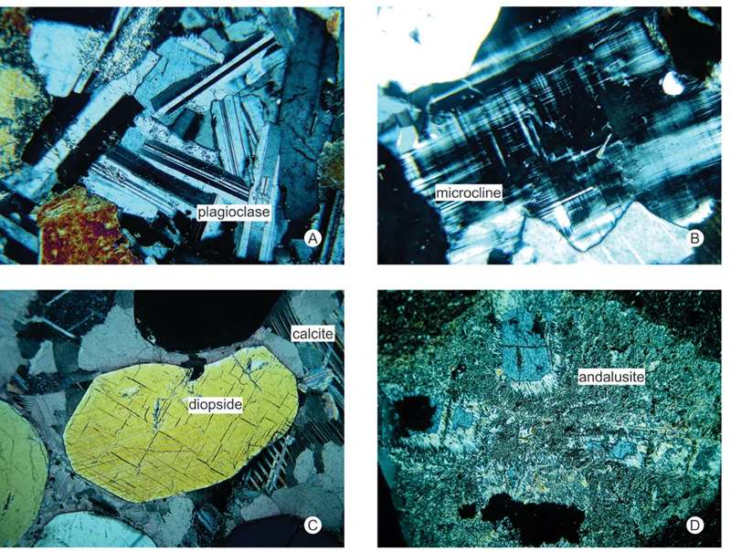 5 Optical Mineralogy Examples of twinning in thin section