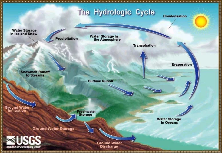 Ocean Salinity Variations: 5 Key Factors & Global Patterns The hydrologic cycle is depicted, showing the movement of water through that system.