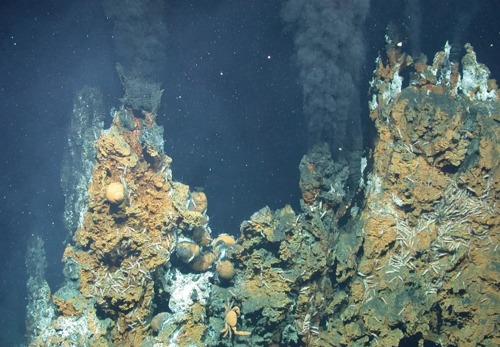 Salinity of Ocean Water A deep-sea hydrothermal vent emitting mineral-rich plumes and supporting unique marine life on the ocean floor