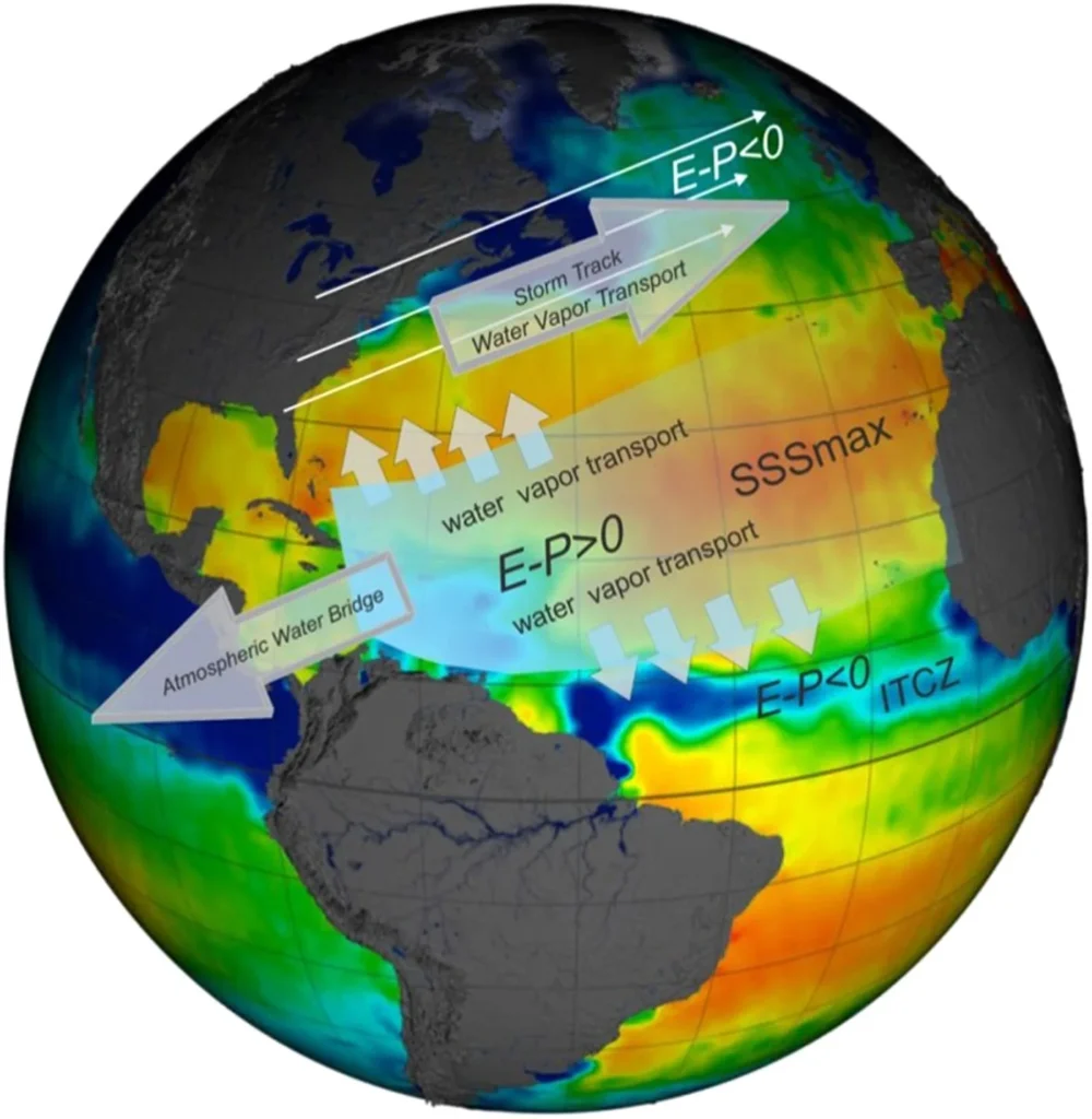 Ocean Salinity Variations: 5 Key Factors & Global Patterns Atmospheric water vapor transport and evaporation-precipitation balance create subtropical salinity maxima around 30°N and S in the Atlantic Ocean