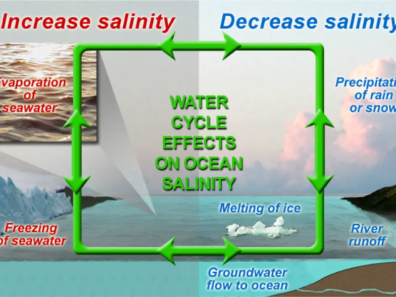 Ocean Salinity Variations: 5 Key Factors & Global Patterns Water cycle effects on ocean salinity showing how evaporation and freezing increase salinity, while precipitation, river runoff, and ice melting decrease it