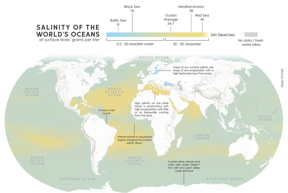 Salinity of Ocean Water World map showing ocean surface salinity levels in grams per liter with key regions and explanations of salinity variations due to evaporation, freshwater input, and temperature effects