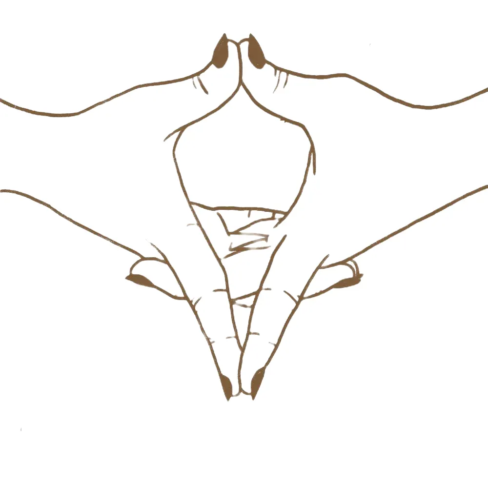 Post Mauryan Art and Architecture- UPSC Uttarabodhi Mudra