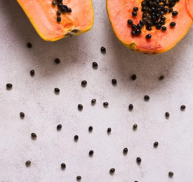 5 health benefits of papaya seeds you didn’t know
