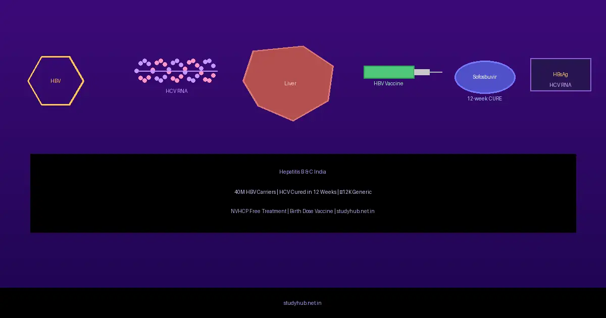 Hepatitis B & C India — 40M HBV, HCV 12-Week Cure, NVHCP Free Treatment & Birth Dose Vaccine Hepatitis B C India — HBV Vaccine HCV DAA Cure Sofosbuvir Liver Cirrhosis Guide