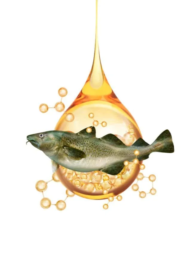 Omega-3 vs Fish Oil: Decoding your perfect supplement.