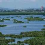 Top 10 Wetlands To Visit In India