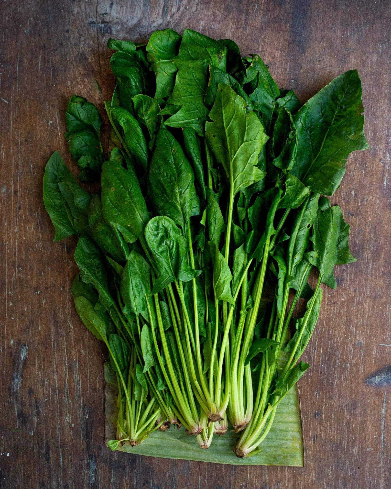 Mastering Spinach: Discover its tastiest forms. March 1, 2026.