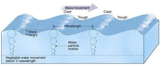 Ocean Waves & Movements of Ocean Water | UPSC