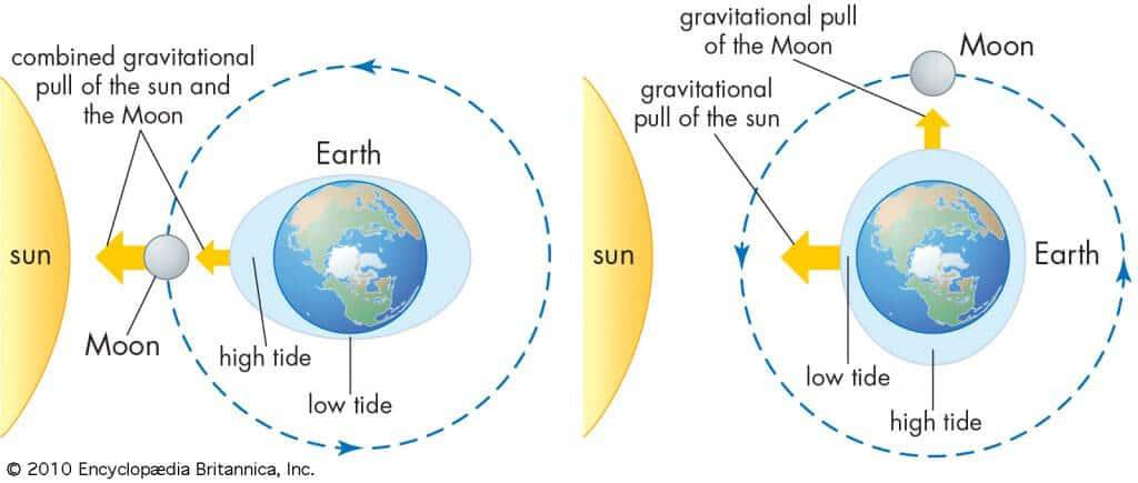 Tides: Spring & Neap Tide, Tidal Bulge, Tidal Bore | UPSC