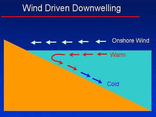 Ocean Currents | UPSC Ocean Currents | UPSC