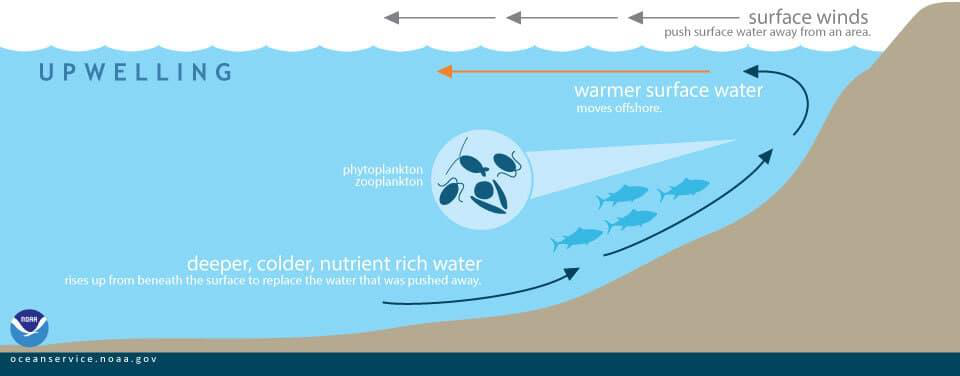Ocean Currents | UPSC Ocean Currents | UPSC