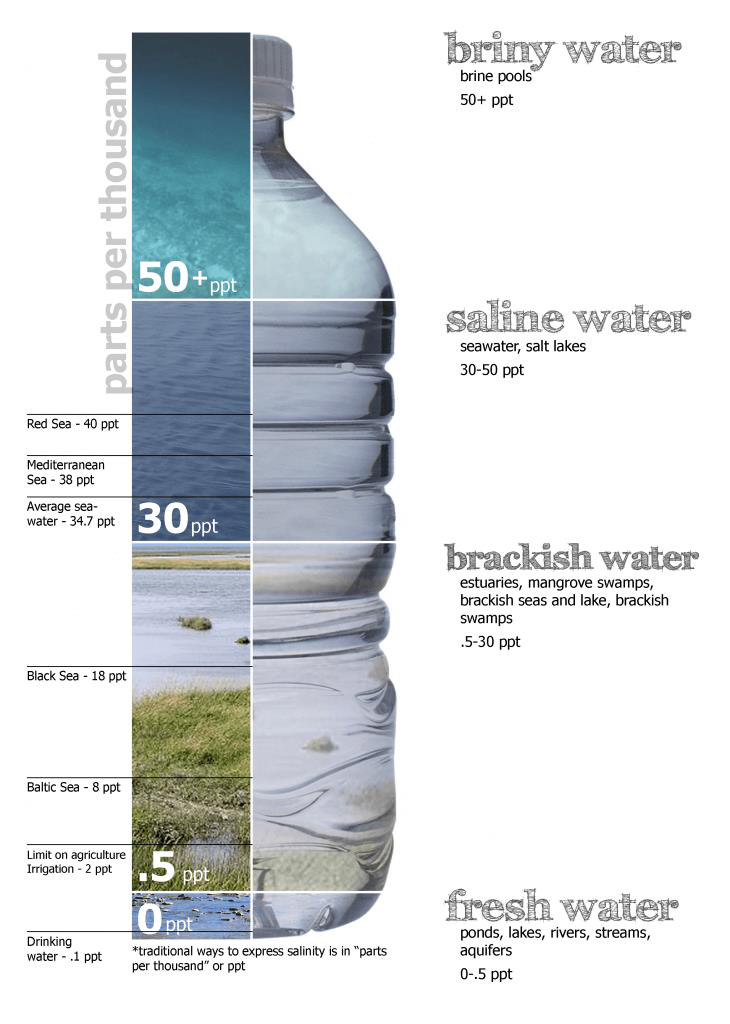 Salinity of Ocean Water | UPSC Salinity of Ocean Water | UPSC
