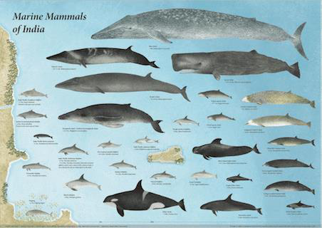 Ocean Resources: Biotic and Abiotic | UPSC Oceanography Ocean Resources: Biotic and Abiotic | UPSC Oceanography