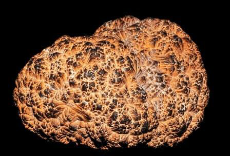 Ocean Resources: Biotic and Abiotic | UPSC Oceanography nodule polymétallique