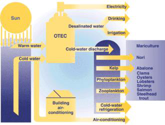 Ocean Resources: Biotic and Abiotic | UPSC Oceanography Ocean Resources: Biotic and Abiotic | UPSC Oceanography