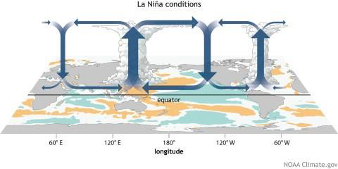 El-Nino, La-Nina, ENSO, El Nino Modoki | UPSC Oceanography El-Nino, La-Nina, ENSO, El Nino Modoki | UPSC Oceanography