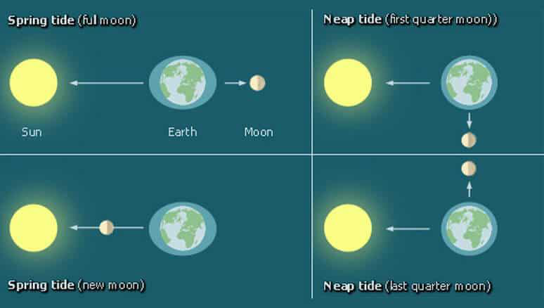 Tides: Spring & Neap Tide, Tidal Bulge, Tidal Bore | UPSC