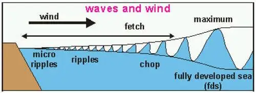 Ocean Waves & Movements of Ocean Water | UPSC