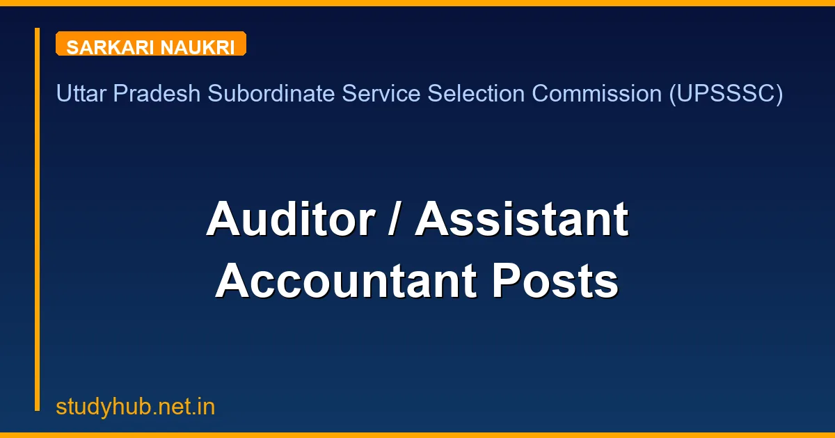 Auditor / Assistant Accountant Posts
