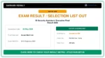 IB Security Assistant/ Executive Final Result 2026