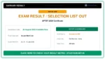 UPTET 2026 Certificate